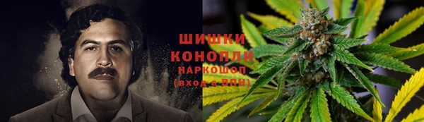 ГАЛЛЮЦИНОГЕННЫЕ ГРИБЫ Алексин