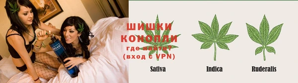 стаф Абдулино