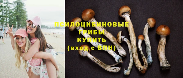 ГАЛЛЮЦИНОГЕННЫЕ ГРИБЫ Алексин