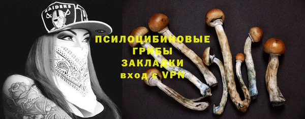 ГАЛЛЮЦИНОГЕННЫЕ ГРИБЫ Алексин